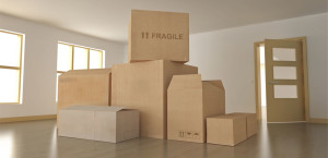 cropped-traslochi.jpg